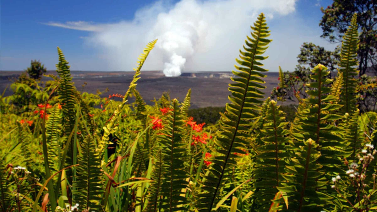 Chain of Craters Road crossing old lava flows on a Big Island volcano adventure day trip from Oahu, Hawaii